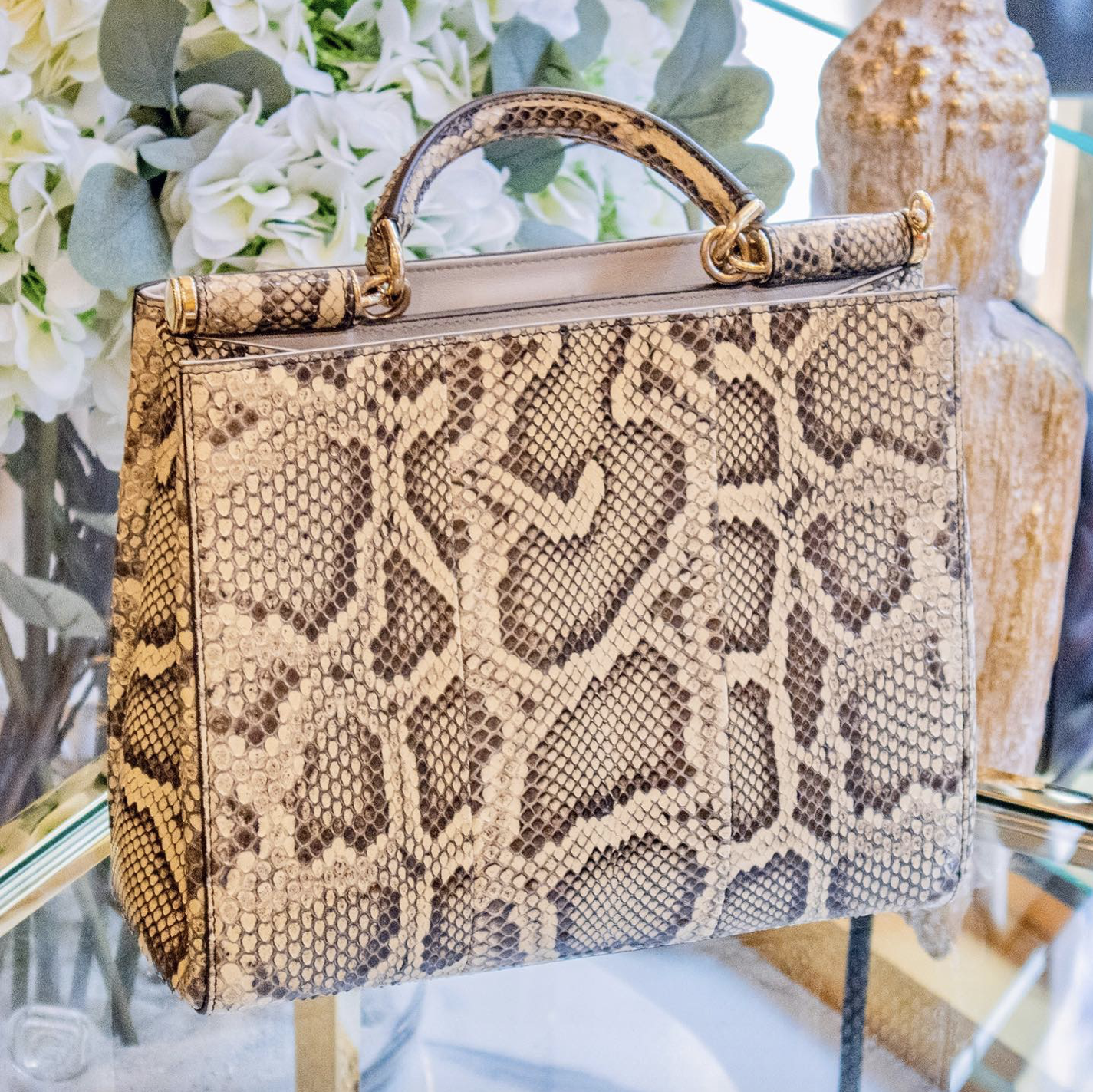 Dolce & Gabbana - Large Python