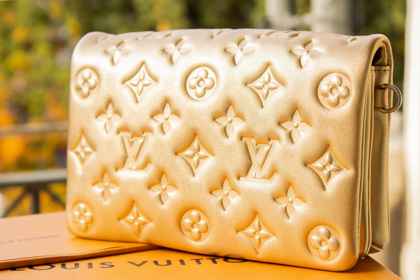 Louis Vuitton - Pochette Coussin Gold