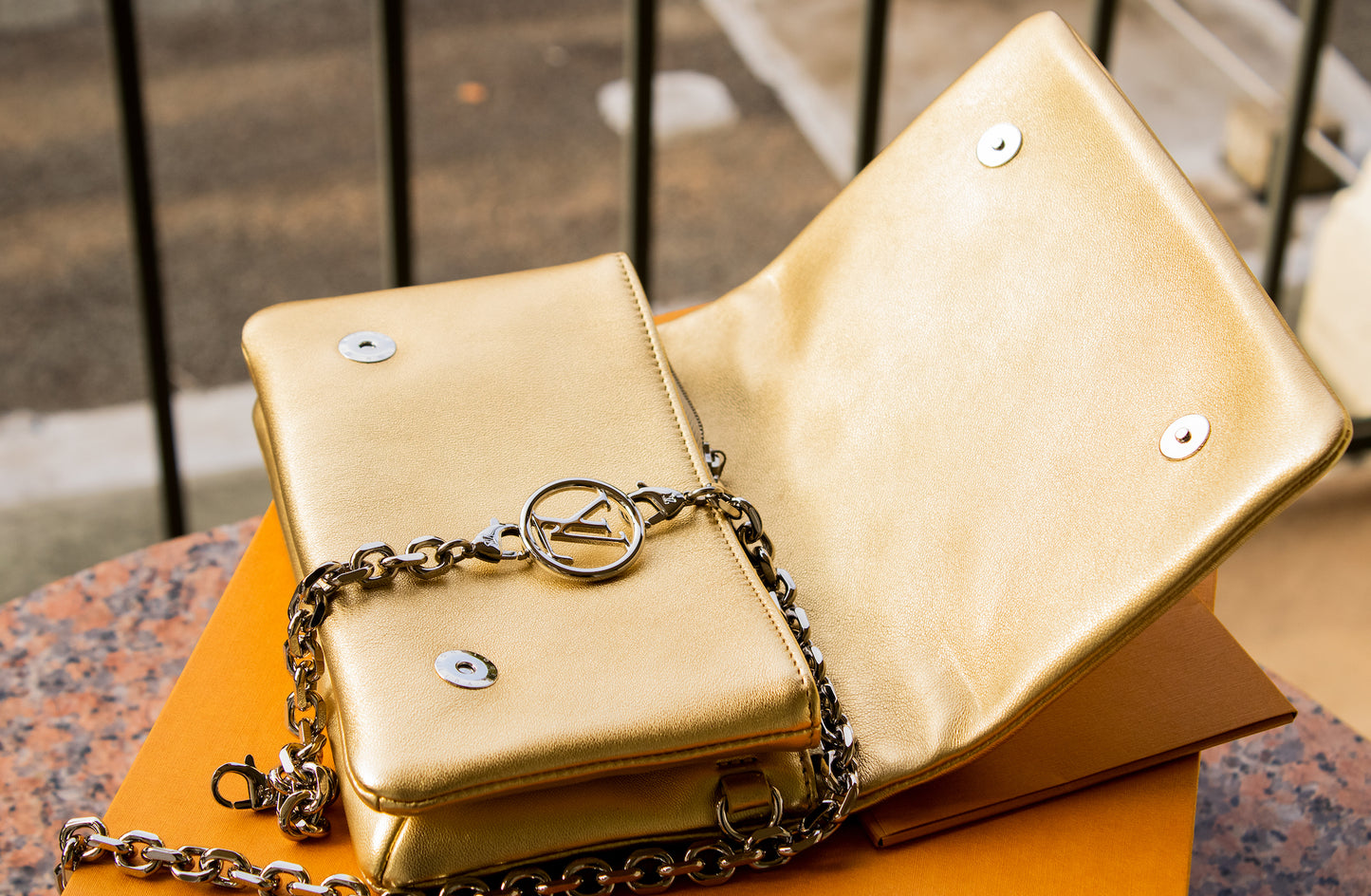 Louis Vuitton - Pochette Coussin Gold