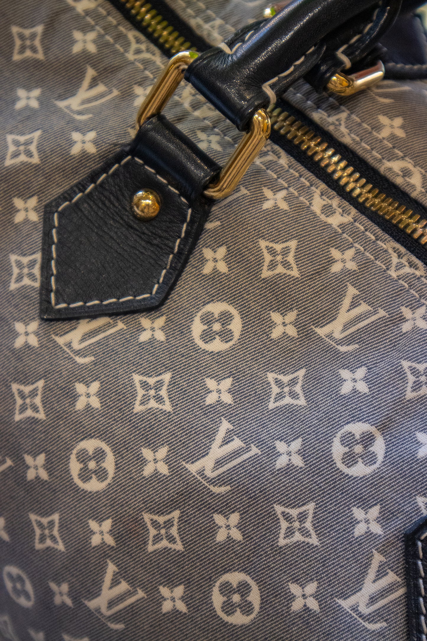 Louis Vuitton - Speedy Bandouliere Monogramm Idylle Encre