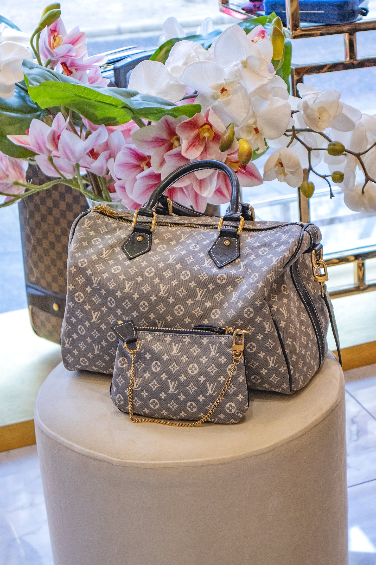 Louis Vuitton - Speedy Bandouliere Monogramm Idylle Encre