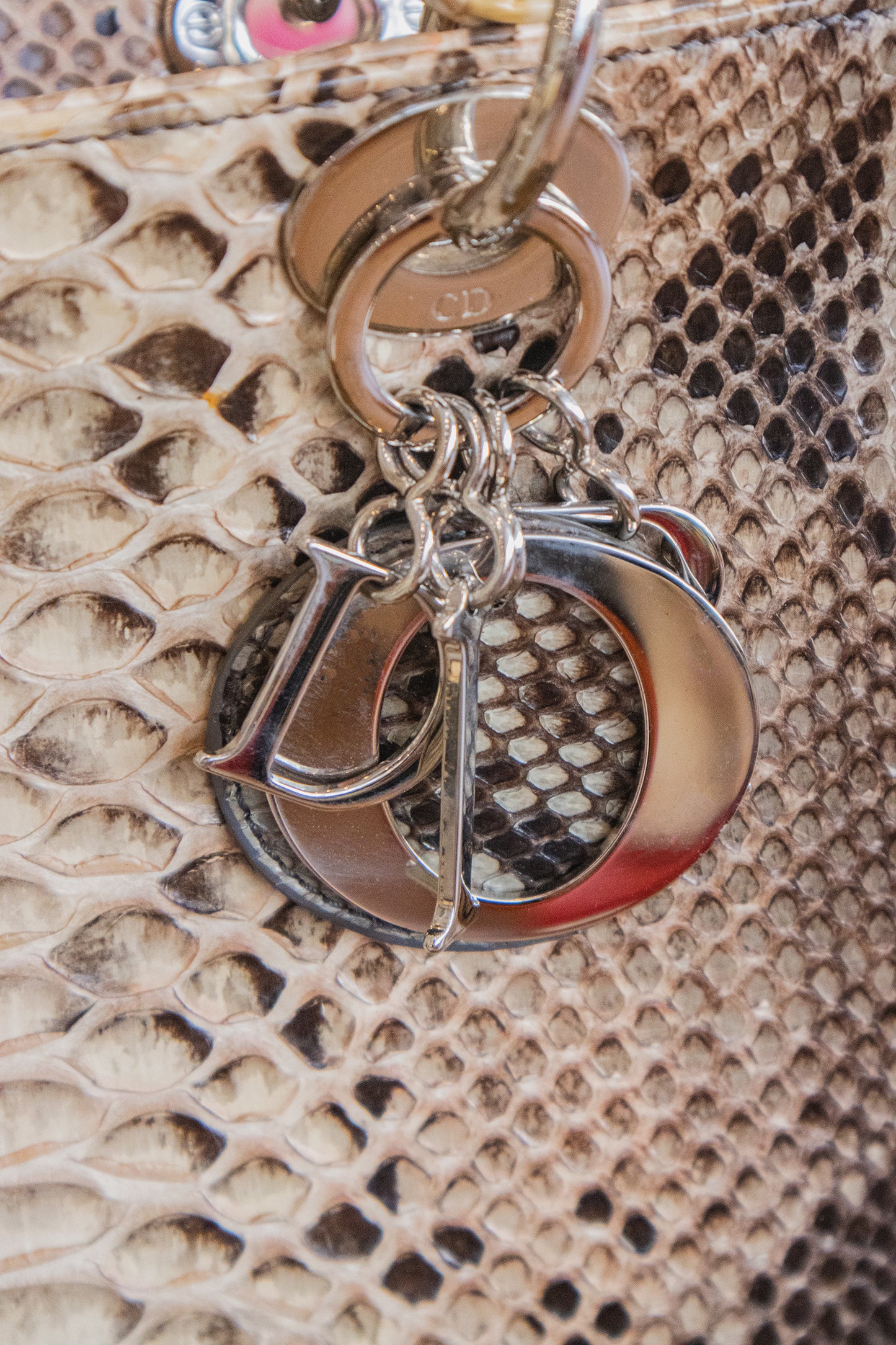 Dior - Python Lady Dior