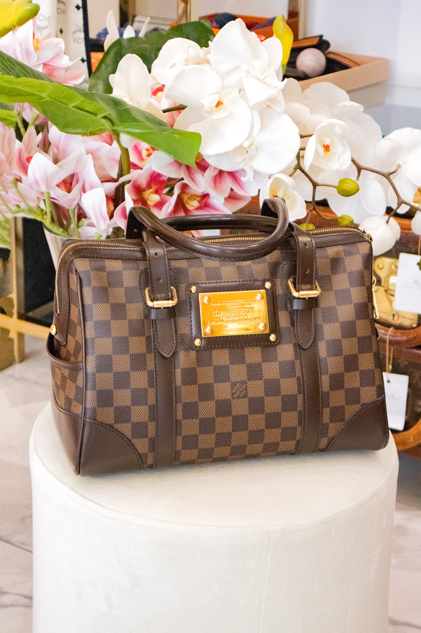 Louis Vuitton - Berkeley Handtasche