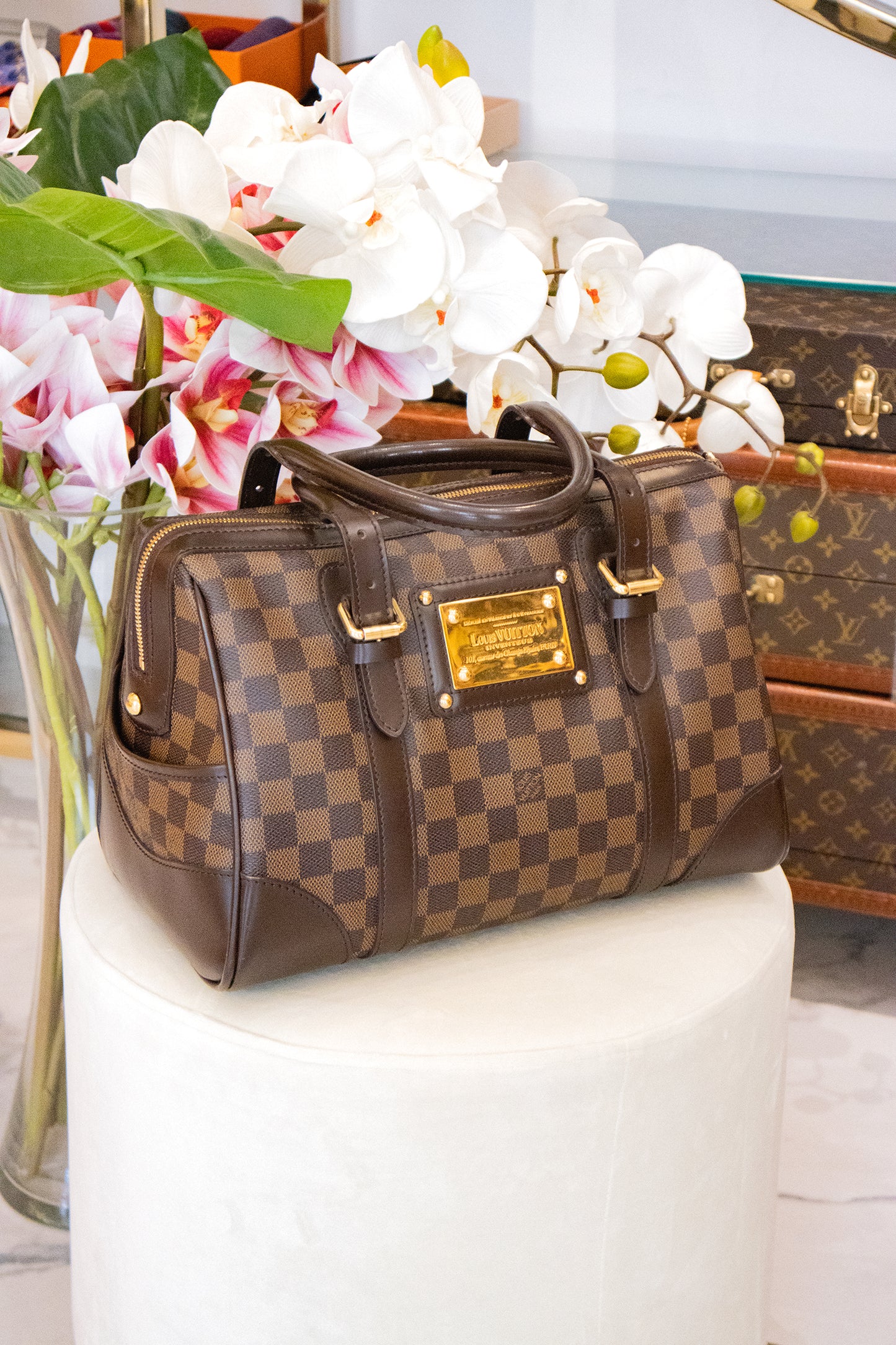 Louis Vuitton - Berkeley Handtasche