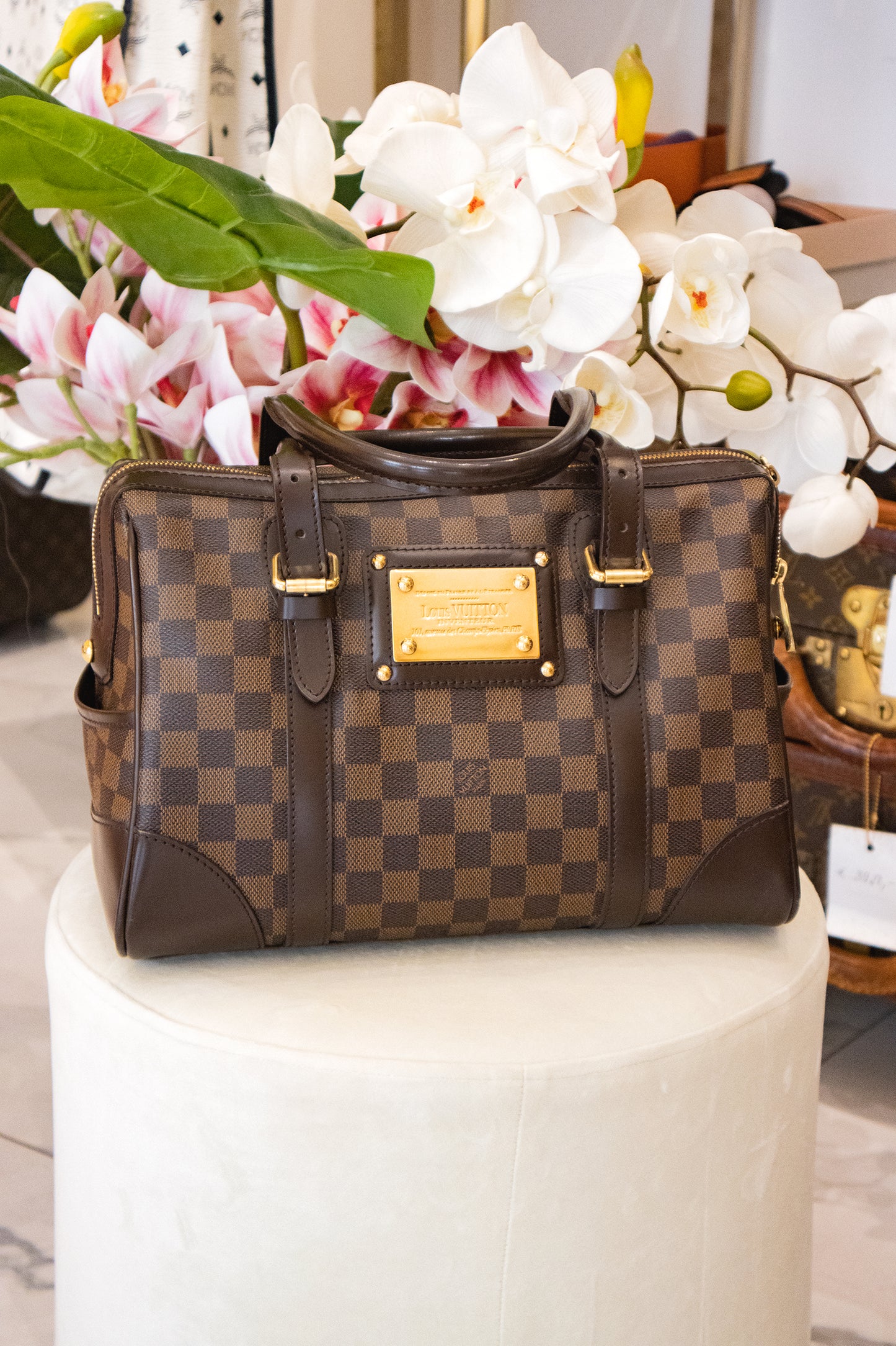 Louis Vuitton - Berkeley Handtasche