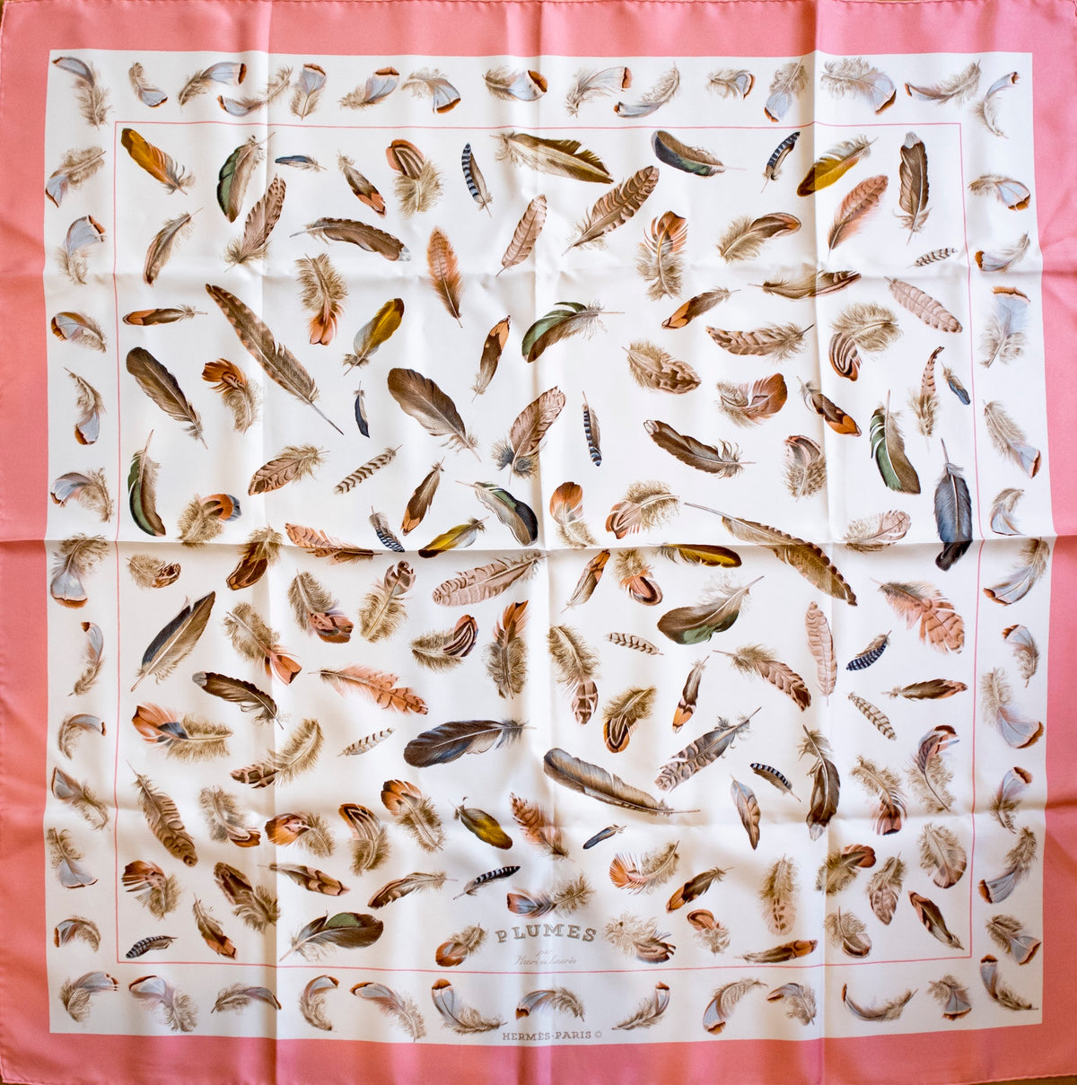 Hermès - Seidentuch 90 Plumes par Henri de Linares