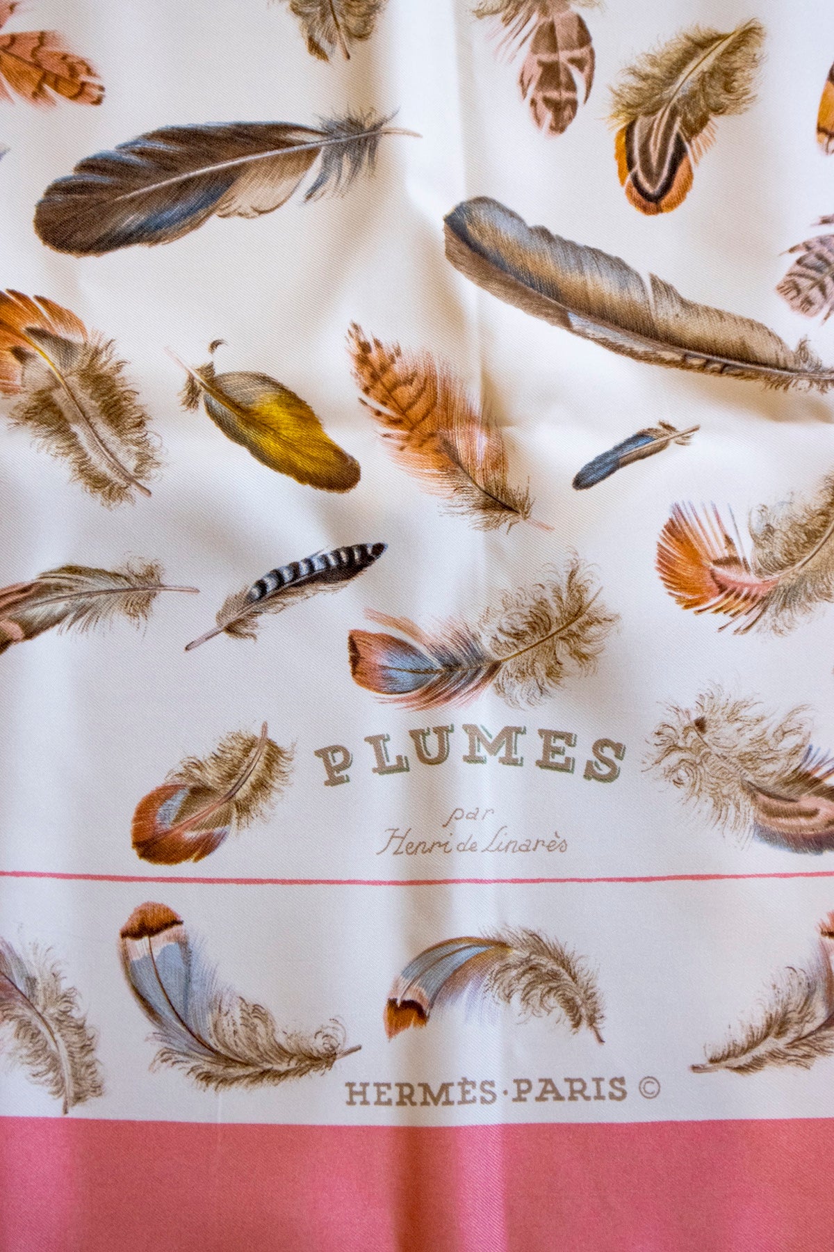 Hermès - Seidentuch 90 Plumes par Henri de Linares