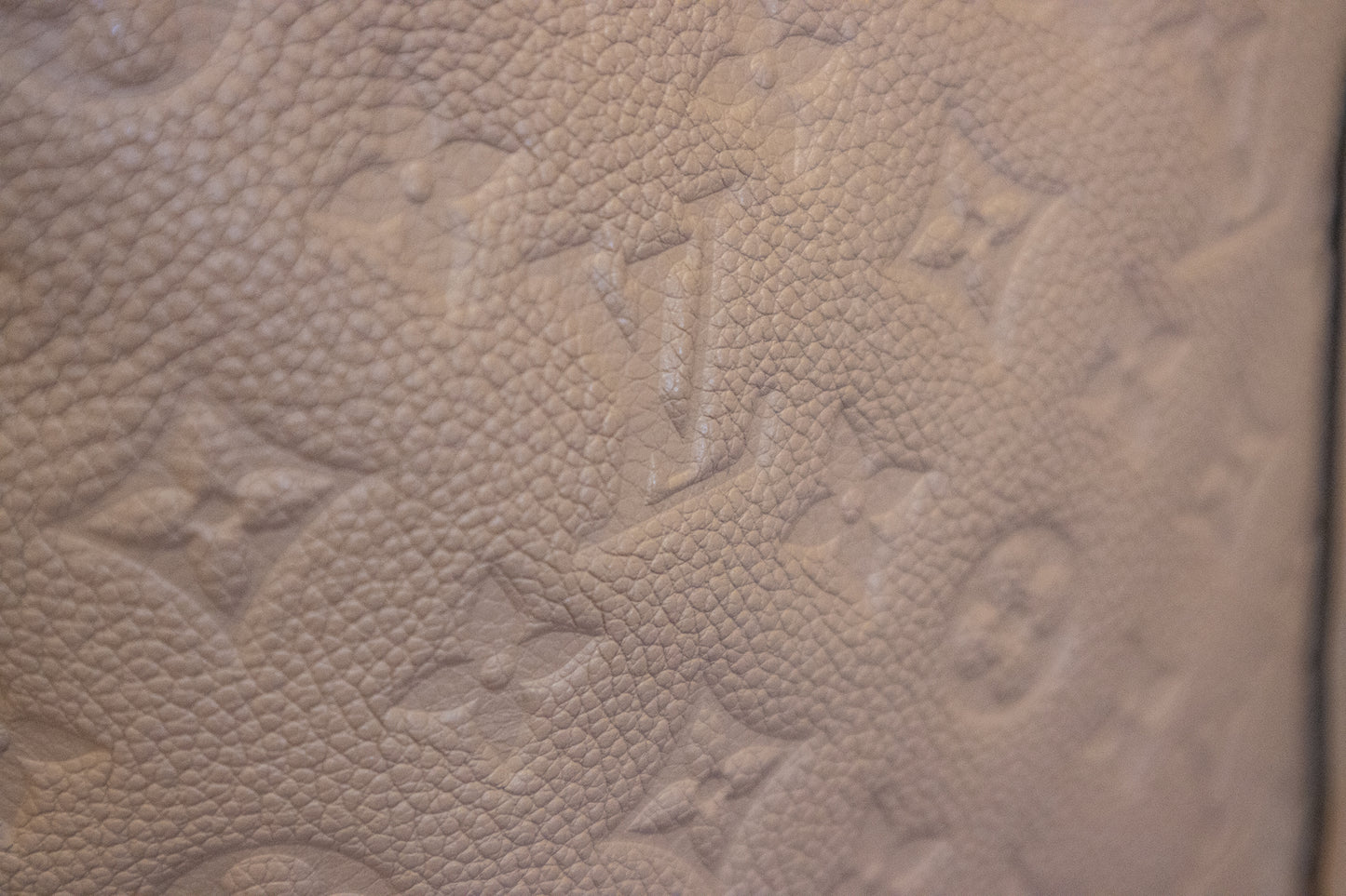 Louis Vuitton - Shopper Bagatelle Empreinte Dune